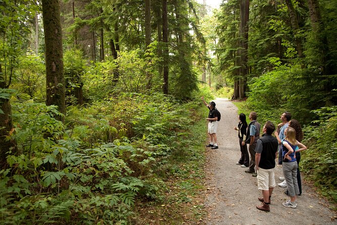Vancouver City & Lookout Tour and Option to Add Airport Drop Off - Granville Island is the best place to pause