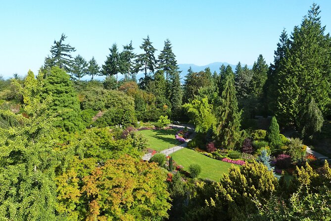 Vancouver City Tour with Admission to Lookout Tower - The guides are the heart of the experience