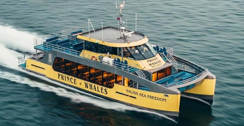 Vancouver: Covered Whale Watching Adventure with Free Photos - A crew that adds real value