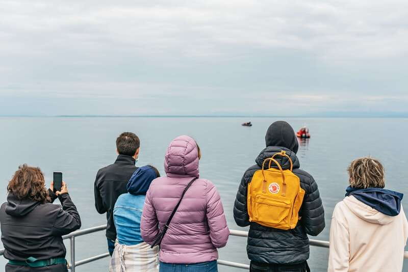 Vancouver: Covered Whale Watching Adventure with Free Photos - Timing, weather, and the whale guarantee