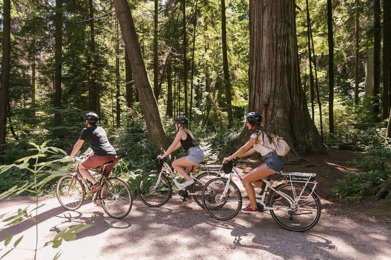 Vancouver: Half-Day City Highlights E-Bike Tour Age 16+ - Why This Four-Hour Ride Works So Well