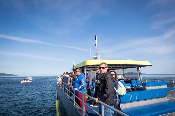 Vancouver Half-Day Whale Watching Adventure with Free Photos - A comfortable boat for a long outing