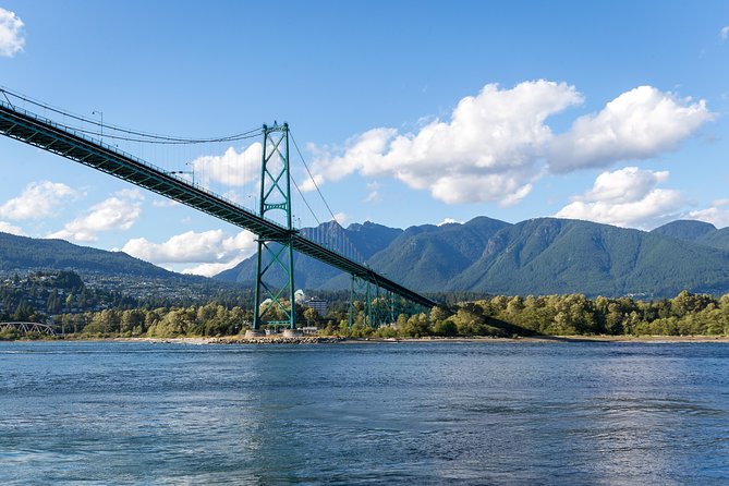 Vancouver Half-Day Whale Watching Adventure with Free Photos - What you might see on the water