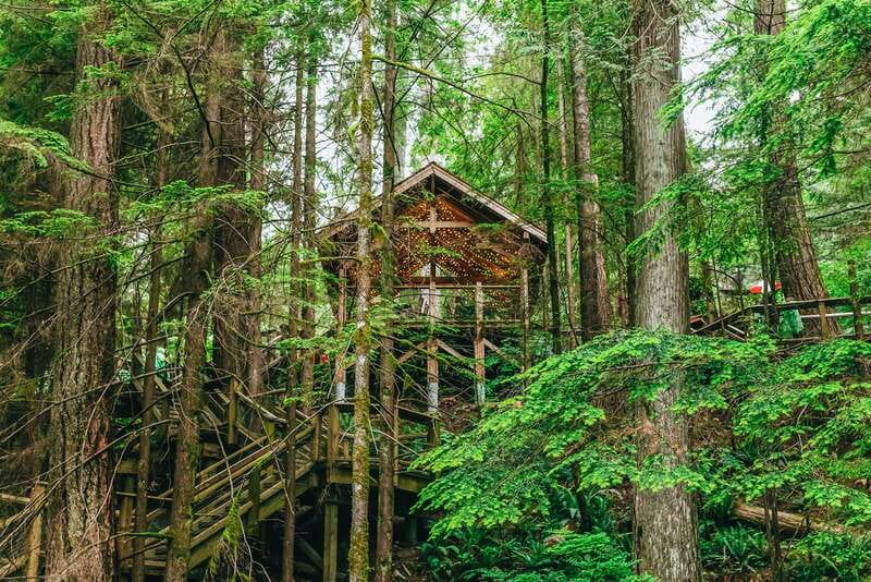 Vancouver Highlights: Capilano Bridge & Granville Island - Who should book this Vancouver tour?