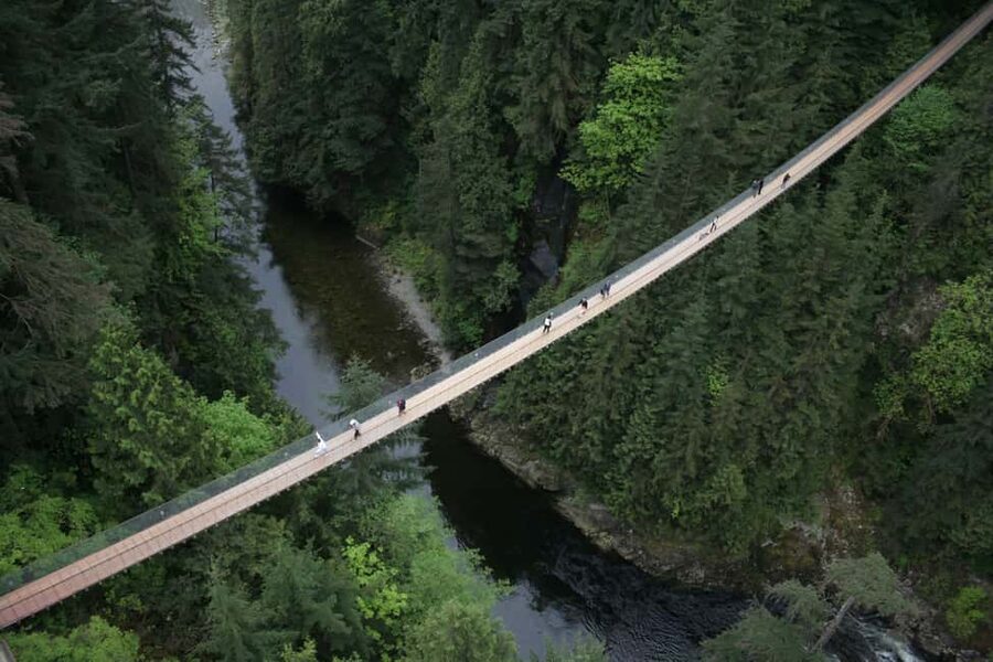 Vancouver Highlights: Capilano Bridge & Granville Island - Why this half-day route works in Vancouver
