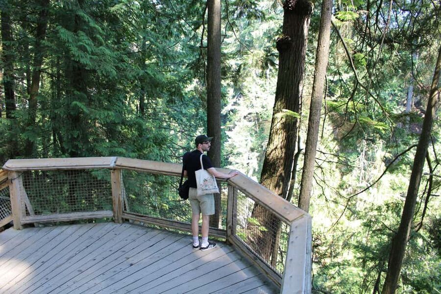 Vancouver Highlights: Capilano Bridge & Granville Island - Stanley Park and the Lions Gate crossing