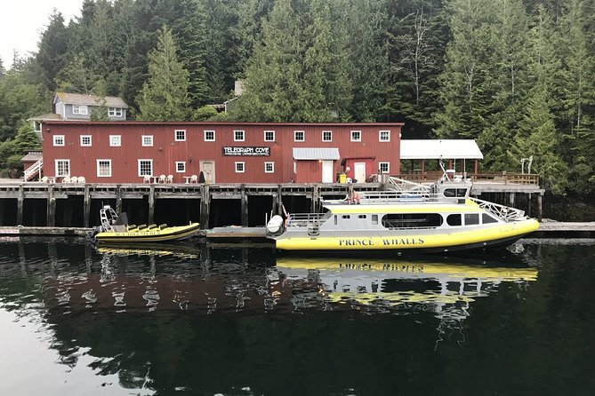 Vancouver Island Half-Day Whale Watching Tour - Telegraph Cove - Telegraph Cove from the water