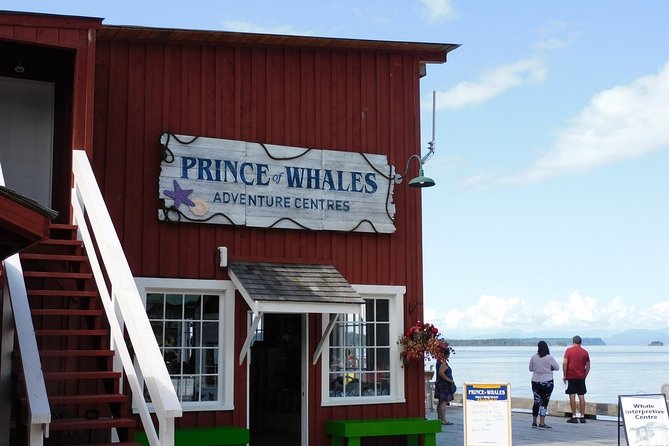 Vancouver Island Half-Day Whale Watching Tour - Telegraph Cove - What to bring for three hours on the water
