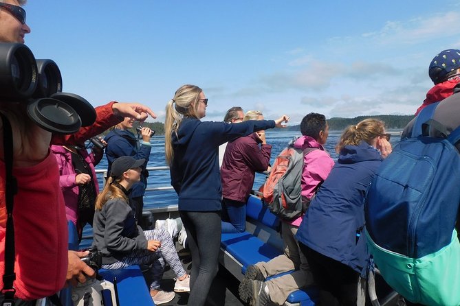 Vancouver Island Half-Day Whale Watching Tour - Telegraph Cove - Is the $153.77 price good value?