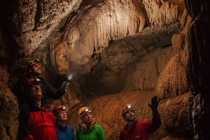 Vancouver Island Multi-Cave Experience - A forest approach before the caves