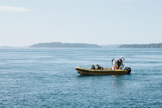 Vancouver Island Zodiac Whale Watching Adventure - Telegraph Cove - Leaving Telegraph Cove Marina for Johnstone Strait
