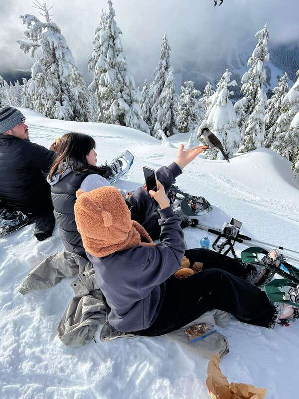 Vancouver: North Shore Mountains Snowshoeing with Transfer - From Vancouver streets to a snowy mountain trail