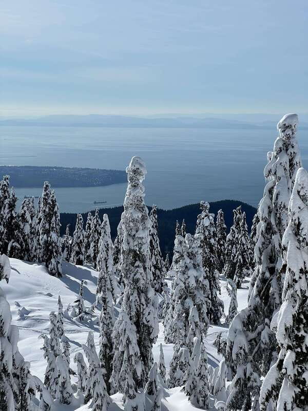 Vancouver: North Shore Mountains Snowshoeing with Transfer - How strenuous is the snowshoeing?