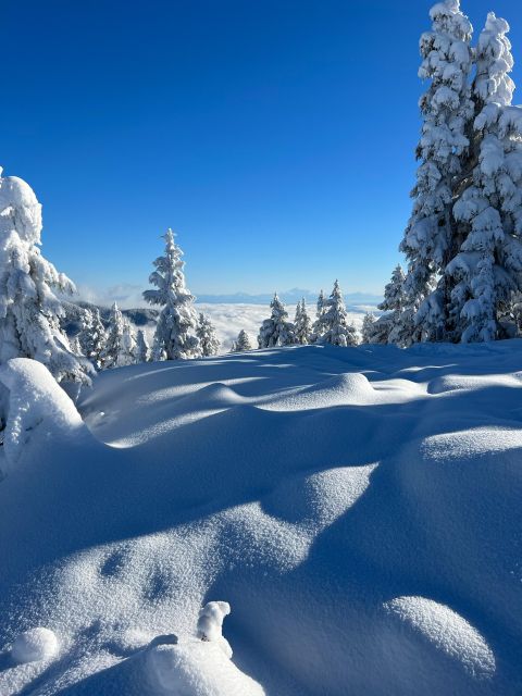 Vancouver: North Shore Mountains Snowshoeing with Transfer - The value of a guide named Adrien