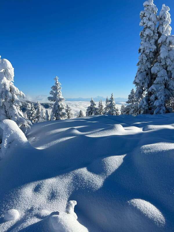 Vancouver: North Shore Mountains Snowshoeing with Transfer - What the views are really worth