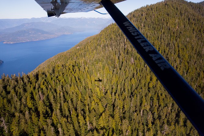 Vancouver Panorama Scenic Seaplane Tour - The return over BC Place and Science World