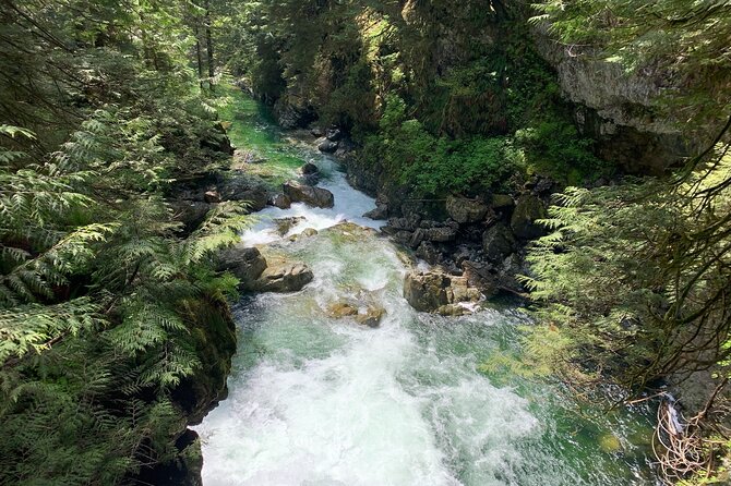 Vancouver Rainforest Hike with Waterfalls, Suspension Bridge, Old Growth Forest - Why Lynn Canyon makes a strong half-day outing