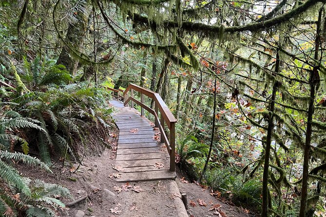 Vancouver Rainforest Hike with Waterfalls, Suspension Bridge, Old Growth Forest - Adrian’s role and the small-group advantage