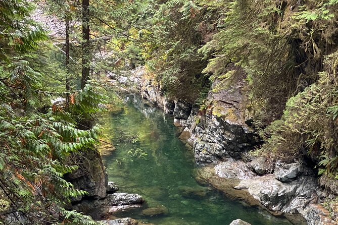 Vancouver Rainforest Hike with Waterfalls, Suspension Bridge, Old Growth Forest - The Lions Gate Bridge ride