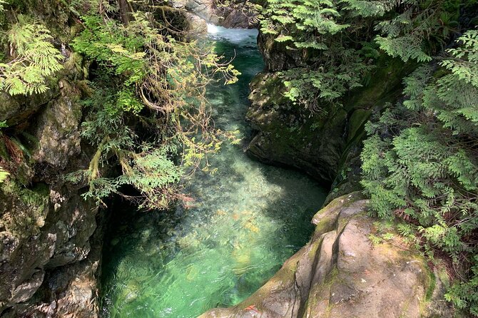 Vancouver Rainforest Hike with Waterfalls, Suspension Bridge, Old Growth Forest - Who should book this Lynn Canyon tour?