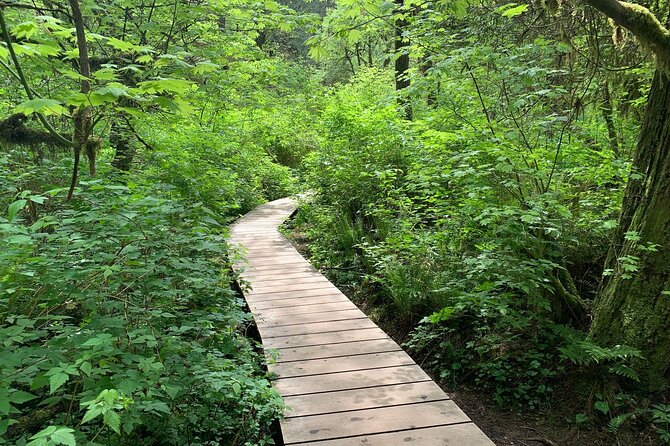 Vancouver Rainforest Hike with Waterfalls, Suspension Bridge, Old Growth Forest - Walking to Twin Falls and through the old-growth forest