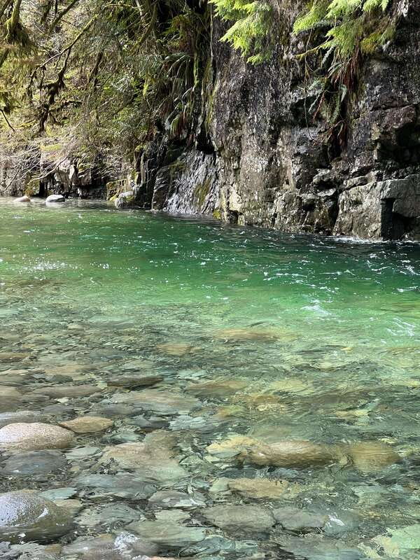 Vancouver: Rainforest Waterfall Hike and Suspension Bridge - Key points to know before you book