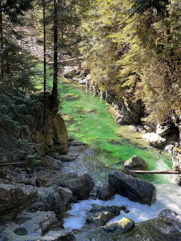 Vancouver: Rainforest Waterfall Hike and Suspension Bridge - Waterfalls, clear pools, and creekside stops