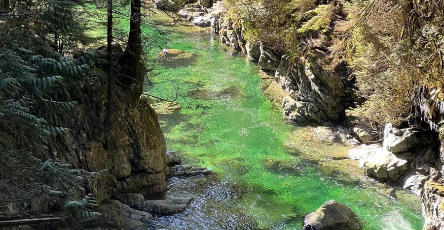Vancouver: Rainforest Waterfall Hike and Suspension Bridge - Rain, seasons, and what to pack