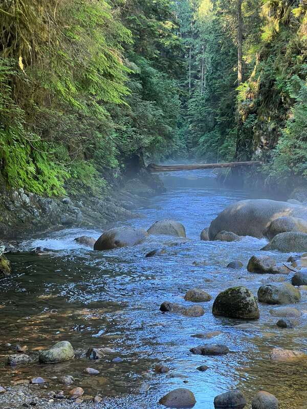 Vancouver: Rainforest Waterfall Hike and Suspension Bridge - Is $62 good value?