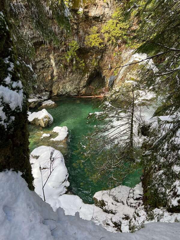 Vancouver: Rainforest Waterfall Hike and Suspension Bridge - Entering the old-growth forest