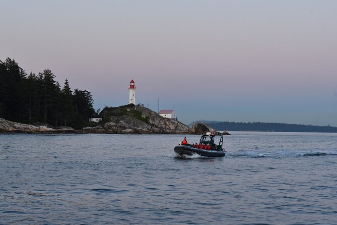 Vancouver's Intimate West Coast Whale Watching Experience - Choosing between a Zodiac and an open-air boat