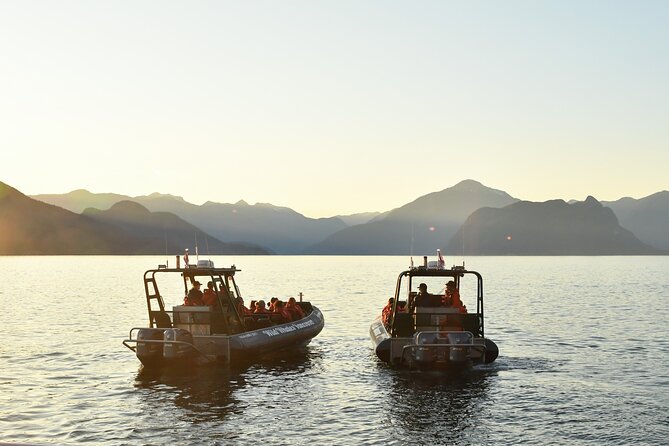 Vancouver's Intimate West Coast Whale Watching Experience - What the guide adds to the experience