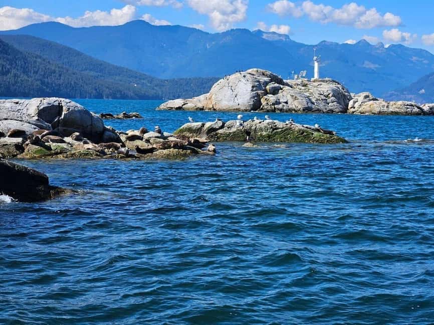Vancouver: Snorkel, Kayak, and Seal Adventure Boat Tour - Leaving Horseshoe Bay for Howe Sound