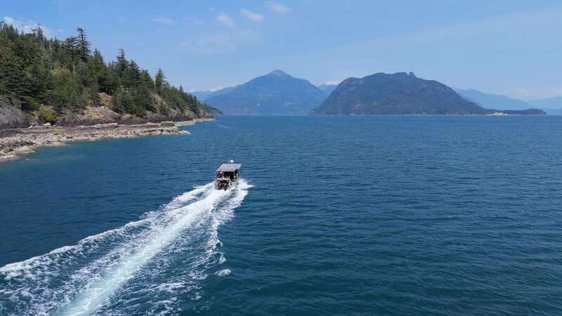 Vancouver: Snorkeling Seals Kayaking Scenic Boat Tour - At a glance