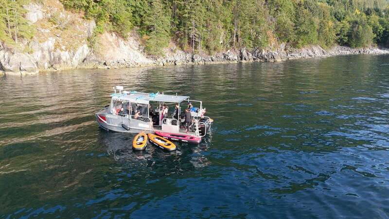 Vancouver: Snorkeling Seals Kayaking Scenic Boat Tour - A closer look at the three-hour flow
