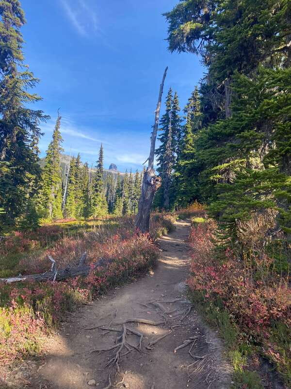 Vancouver/Squamish: Garibaldi Park Panorama Ridge Hike - Who will get the most from this hike