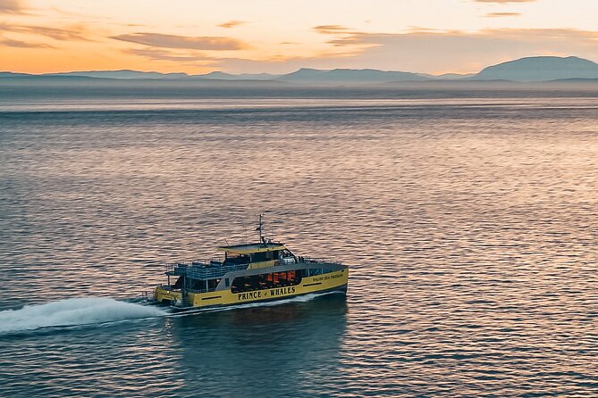 Vancouver Sunset Whale Watching Adventure with Free Photos - From Granville Island to the Salish Sea