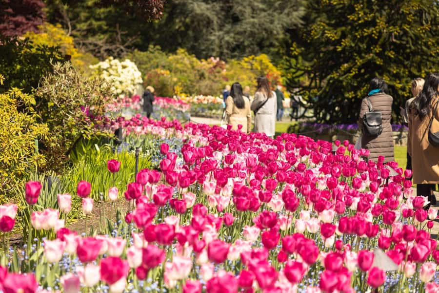 Vancouver to Victoria Seaplane Day Trip + Butchart Gardens - Is this the right Victoria trip for you?