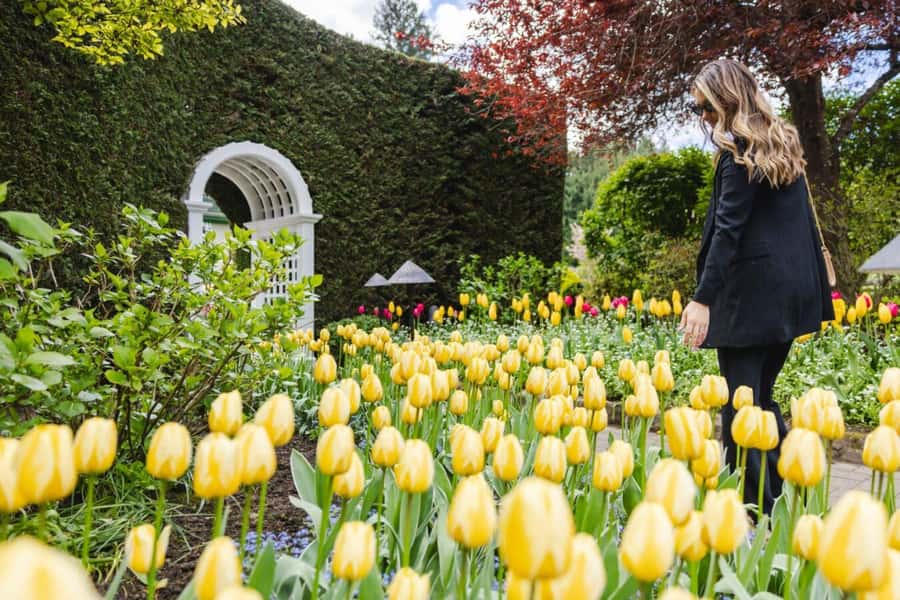 Vancouver to Victoria Seaplane Day Trip + Butchart Gardens - FAQ