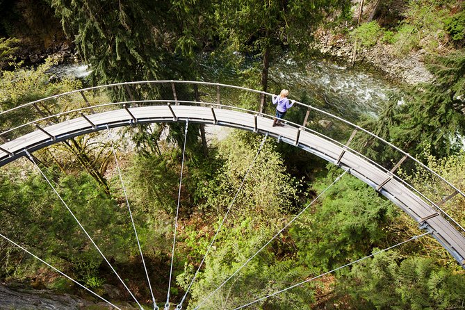 Vancouver Tour: Stanley Park, Granville Island & Capilano Bridge - Stanley Park, totem poles, and Burrard Inlet