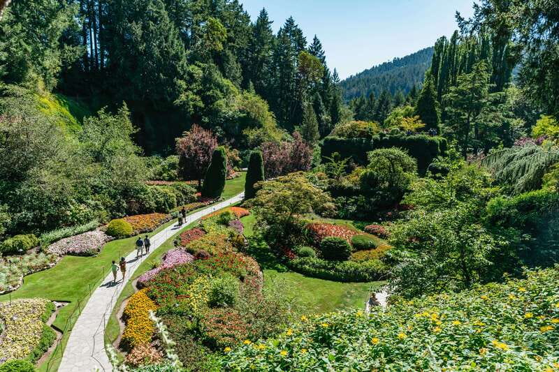 Vancouver: Victoria, Gulf Islands Cruise, & Butchart Gardens - The drive into Victoria and the Inner Harbour