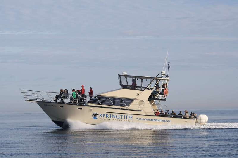 Victoria: 3-Hour Whale Watching Tour - Leaving Victoria Harbour for the Salish Sea