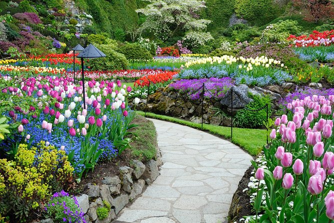 Victoria and Butchart Gardens Day Trip from Vancouver - The morning ride to BC Ferries