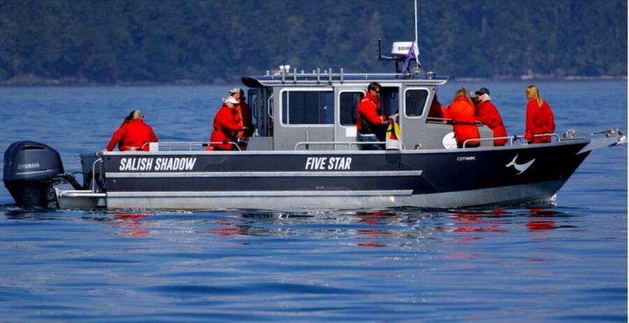 Victoria, BC: 3-Hour Ultimate Whale & Marine Wildlife Tour - What the marine biologists add