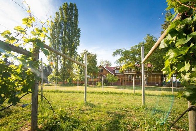 Victoria Boutique Winery Tour - Deep Cove Winery offers another look at local wine