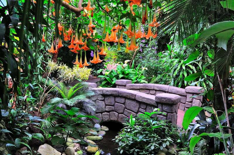 Victoria: Butterfly Gardens Admission Ticket - Key Points About Victoria Butterfly Gardens
