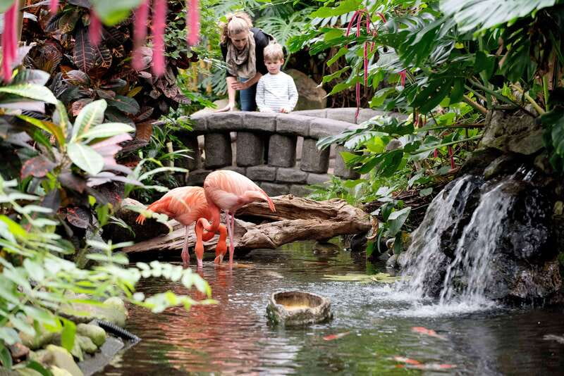 Victoria: Butterfly Gardens Admission Ticket - Entering the Enclosed Tropical Garden