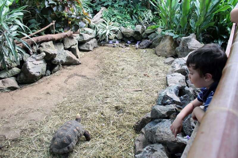 Victoria: Butterfly Gardens Admission Ticket - Who Should Book This Experience?