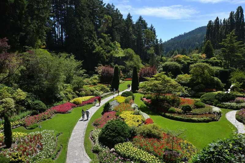 Victoria: City Highlights and Butchart Gardens Tour - The driver-guide can shape the whole experience