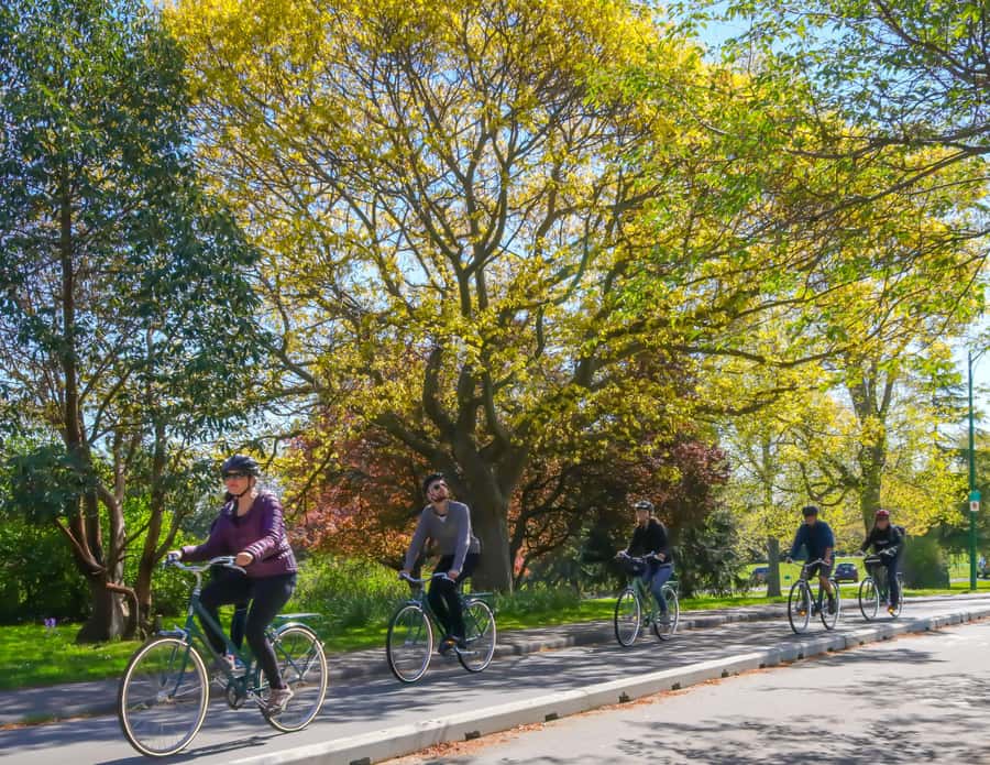 Victoria City Highlights Bike Tour - Castle Hoods & Legends - Beacon Hill Park and the Dallas waterfront